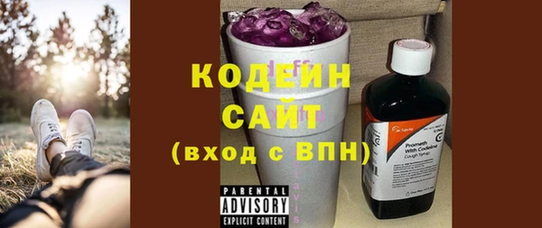 ПСИЛОЦИБИНОВЫЕ ГРИБЫ Гусь-Хрустальный