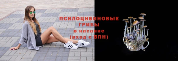 ПСИЛОЦИБИНОВЫЕ ГРИБЫ Гусь-Хрустальный
