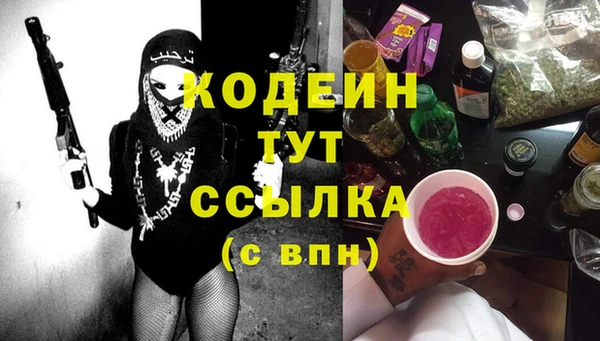 ПСИЛОЦИБИНОВЫЕ ГРИБЫ Гусь-Хрустальный