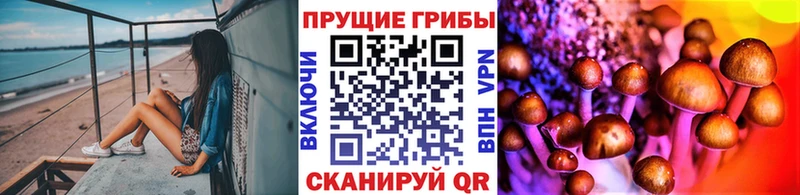 купить наркоту  Альметьевск  Псилоцибиновые грибы ЛСД 